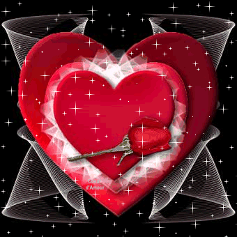 J'offre cette rose a tout le personne que j'aime!!